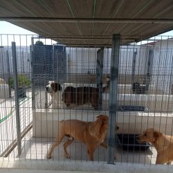 WhatsApp Image 2022-10-19 at 16.26.35 (1)