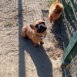 WhatsApp Image 2022-10-19 at 16.30.16