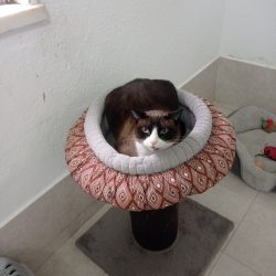 WhatsApp Image 2022-10-19 at 16.35.43