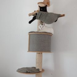 WhatsApp Image 2022-10-19 at 16.36.03