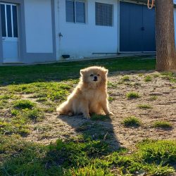 WhatsApp Image 2023-03-17 at 15.01.09