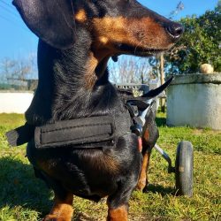 WhatsApp Image 2023-03-17 at 15.01.10