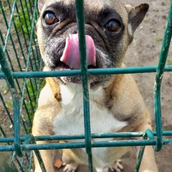 WhatsApp Image 2023-03-17 at 15.01.38