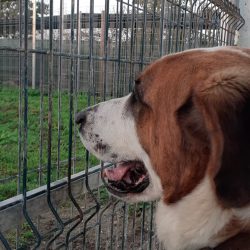 WhatsApp Image 2023-03-17 at 15.01.39 (1)