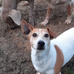 WhatsApp Image 2023-03-17 at 15.01.39 (2)