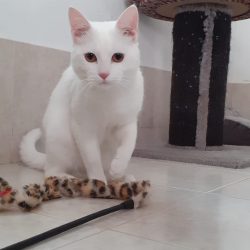 WhatsApp Image 2023-03-17 at 15.01.39 (4)