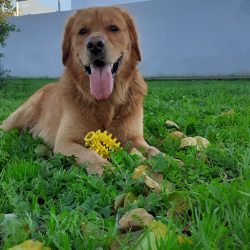 WhatsApp Image 2023-03-17 at 15.01.59